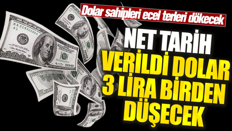 Doların 3 lira birden düşeceği haberini duyan dolar sahipleri endişe içinde!