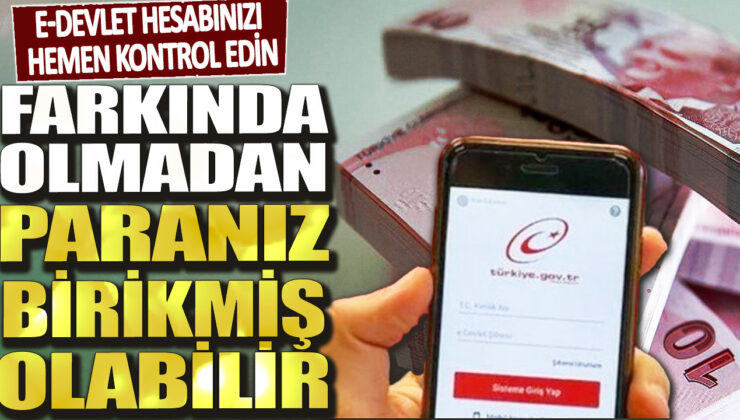 E-Devlet hesabınızı kontrol etmeyi unutmayın! Bilmeden biriken paranız olabilir.