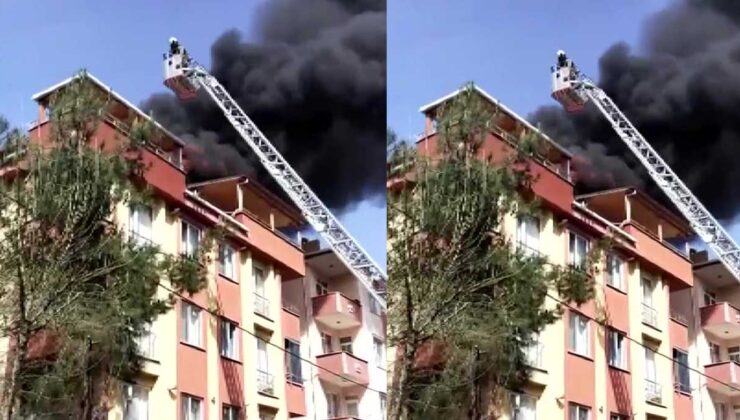 Pendik Güzelyalı Mahallesi’nde Çatı Yangını Paniğe Neden Oldu!