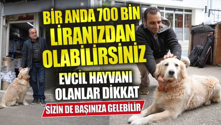 Köpekler ve Komşuluk İlişkileri: Doktora Havlayan Köpek 700 Bin TL’lik Ceza Getirdi!