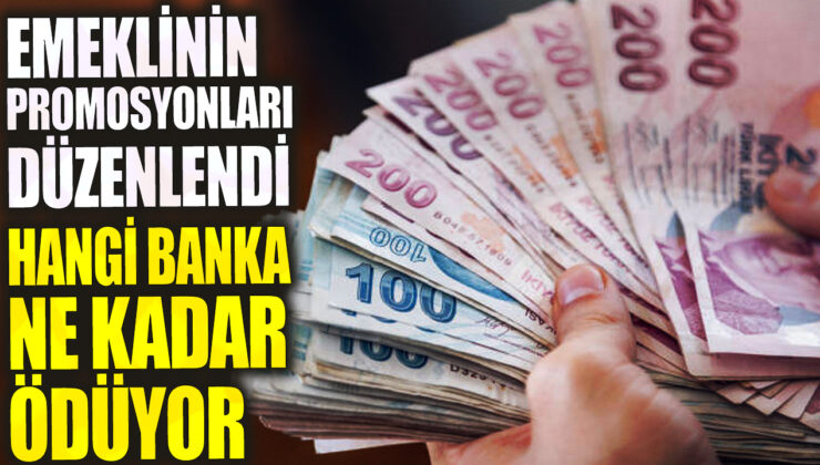 Emeklinin Promosyonları Düzenlendi: Hangi Banka Ne Kadar Ödüyor? İşte Detaylar!