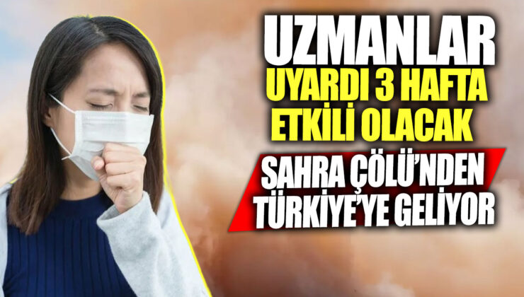 Prof. Dr. Doğan Yaşar’dan Uyarı: ‘Bahar Alerjisi ve Çöl Tozlarına Dikkat!’