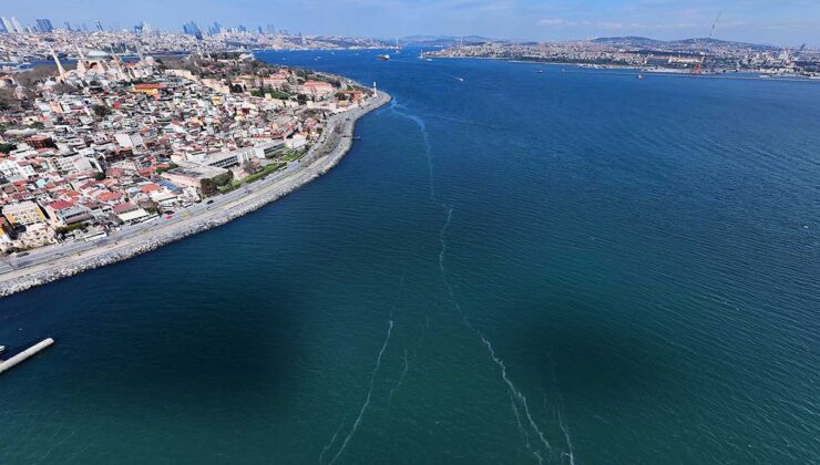 Uzmanlar Uyarıyor: Denizanaları Marmara Denizi’ni Tehlike Altına Sokuyor!