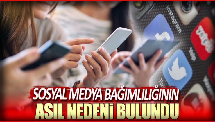 Sosyal Medya Bağımlılığı ve İnternet Kullanım Bozukluğu: Psikolog Tatlıdil’den Önemli İpuçları