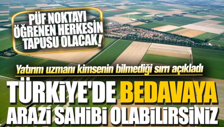 Türkiye’de Bedavaya Arazi Sahibi Olabilirsiniz! Yatırım Uzmanı Kimsenin Bilmediği Detayları Açıkladı