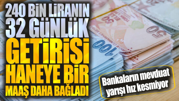 Bankaların Mevduat Faiz Oranları Üç Katına Çıktı! İşte 240 Bin Liranın 32 Günlük Rendesi