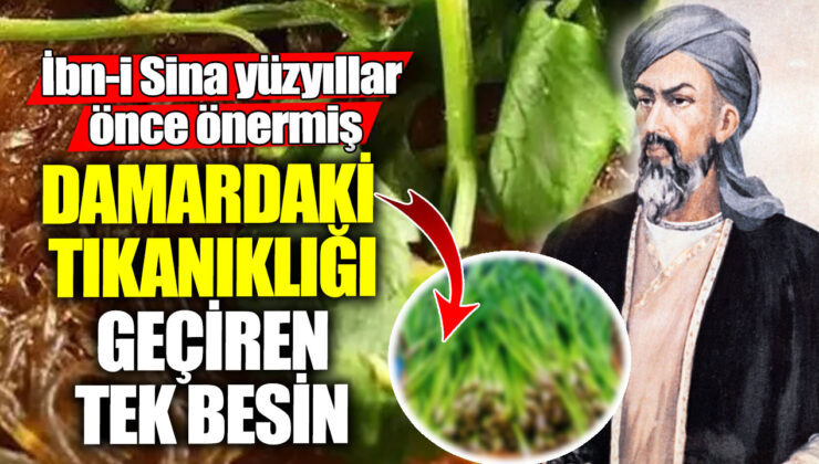 İbn-i Sina’nın yıllar önce önerdiği tek besin damar tıkanıklığını geçiriyor!