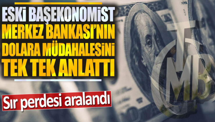 Eski Başekonomist, Merkez Bankası’nın Dolar Müdahalesini Açıkladı: İşte Detaylar!