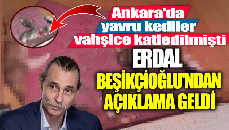 Etimesgut’ta Vahşet! Sokak Hayvanlarına Canice İşkence