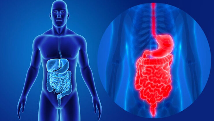 Sindirim Sistemi Uzmanı Uyarıyor: Aşırı Yemek Tüketimi Sindirim Sistemini Bozabilir
