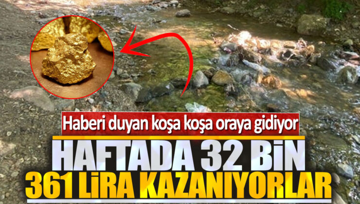 Zonguldak Köylerinde Haftada 13 Gram Altın Bulundu!