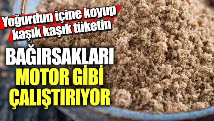 Yoğurdu kaşık kaşık içerek bağırsakların daha hızlı çalışmasını sağlayabilirsiniz!