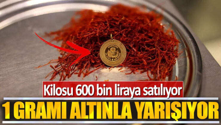 Safranın Kilogramı Altınla Eşdeğer! – İşte 600 Bin TL’lik Fiyatı Sırrı