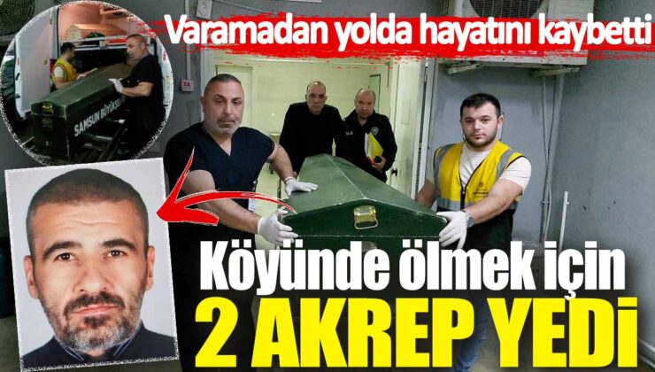 Kayseri’de İlginç Bir Olay: Bunalıma Giren Adam, 2 Akrep Yiyerek Yaşamını Yitirdi!