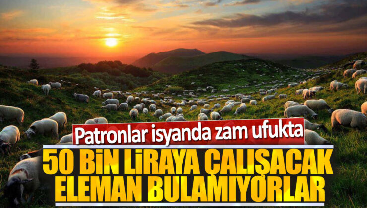 Patronlar İsyanda: 50 Bin Liraya Çalışacak Eleman Bulamıyorlar, Zam Ufukta!