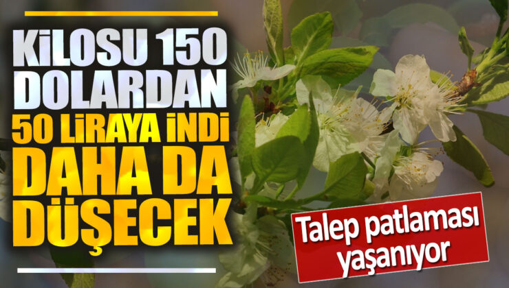 Fiyatı 150 Dolardan 50 Liraya İndi, Talep Patlaması Yaşanıyor!