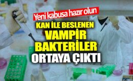 Yeni bir kabusla karşı karşıya kalabilirsiniz! Kanla beslenen vampir bakteriler keşfedildi