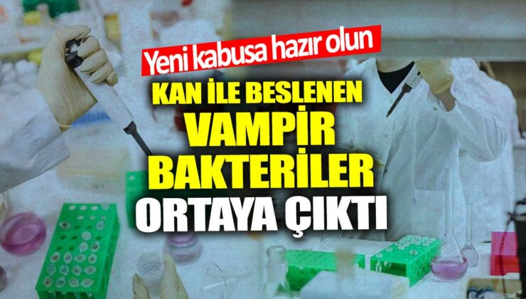 Yeni bir kabusla karşı karşıya kalabilirsiniz! Kanla beslenen vampir bakteriler keşfedildi