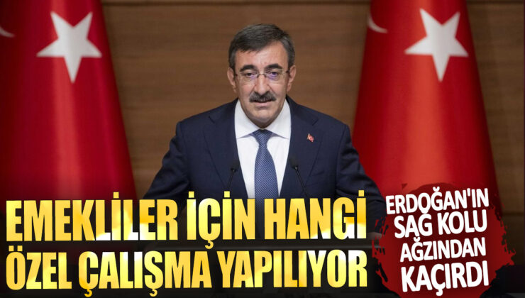 Erdoğan’ın Sağ Kolu Ağzından Kaçırdı! Emekliler İçin Hangi Özel Çalışma Yapılıyor?