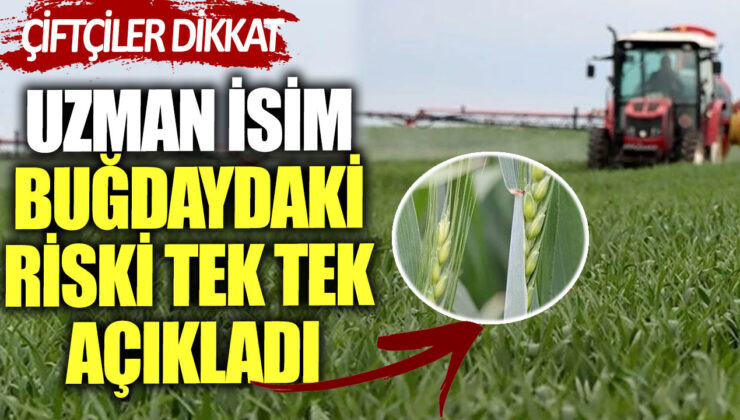 Trakya’da Buğday Tarlalarında Pas Hastalığı Alarmı! Üreticilere Önemli Uyarılar yapıldı