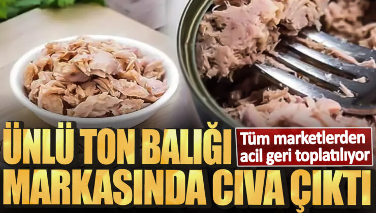 Almanya’da Ton Balığı Geri Çağrıldı! Civa Tehlikesi Var!