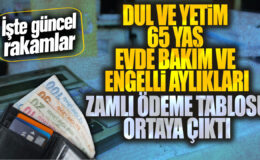 Dul ve Yetimlere Müjde: 65 Yaş ve Üzeri Evde Bakım ve Engelli Aylıkları Zamlandı!