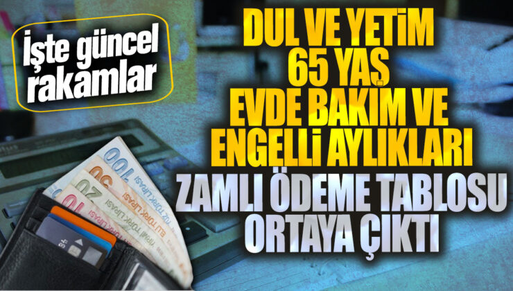 Dul ve Yetimlere Müjde: 65 Yaş ve Üzeri Evde Bakım ve Engelli Aylıkları Zamlandı!