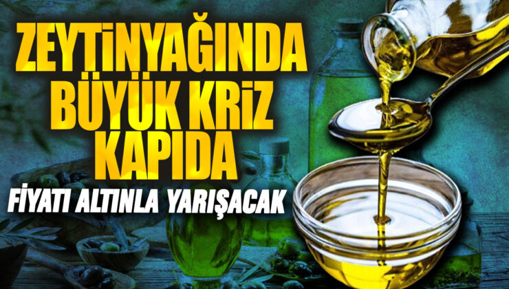 Zeytinyağında Büyük Kriz Kapıda: Fiyatı Altınla Yarışacak!