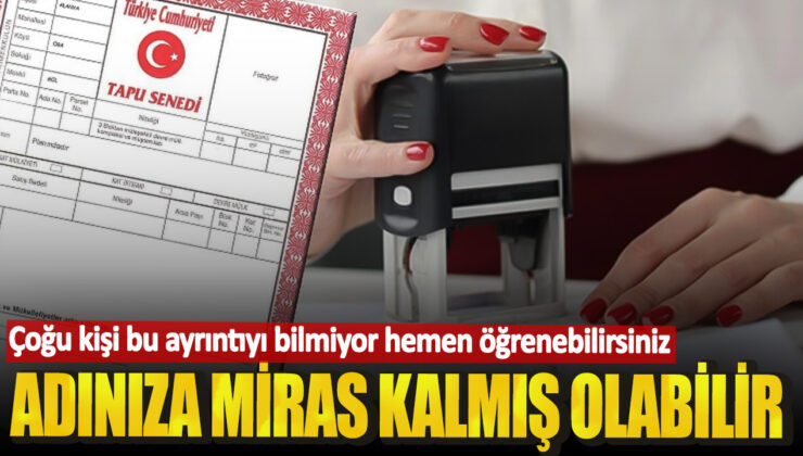 Kimsenin Bilmediği Sır: Adınıza Gizli Miras Kalmış Olabilir!