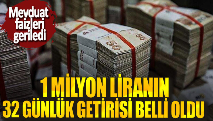 1 Milyon Liranın 32 Günlük Getirisi Belli Oldu: Mevduat Faizleri Geriledi!