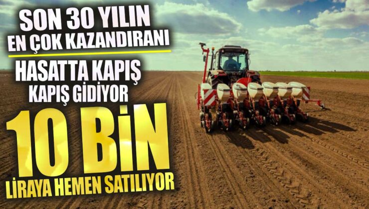 10 Bin Liraya Hemen Satılıyor! Son 30 Yılın En Çok Kazandıranı