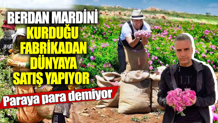 Mardinli Girişimci Berdan Mardini’nin Büyüyen İhracat Hikayesi!