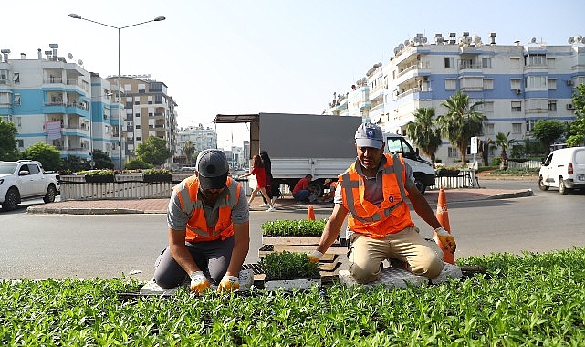 Antalya’da Renkli Çiçek Dikimi Devam Ediyor