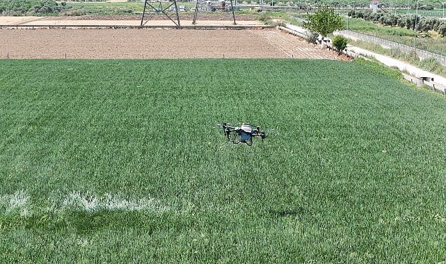 Aydın’da Tarım Devrimi: Drone ile Gübreleme!