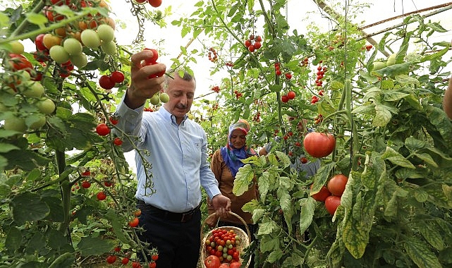 Kadın Çiftçilere Sera Desteği Müjdesi!