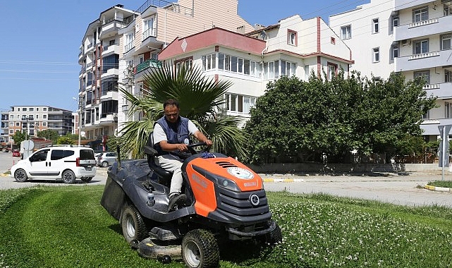 Burhaniye’de Bitkilere Saygı: Vatandaşlardan Duyarlılık Bekleniyor