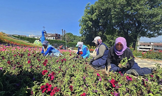 Osmangazi’de Yaz Renkleri: 338 Bin Çiçek Toprakla Buluşuyor!