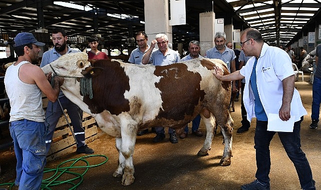 Osmangazi Belediyesi’nden Hijyenik Kurban Kesim Alanları!